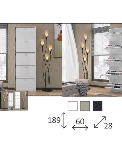 High Gloss Shoe Rack in 2 sizes and 3 Diffrent Colors