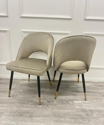 Astra Dining Chair in Pair